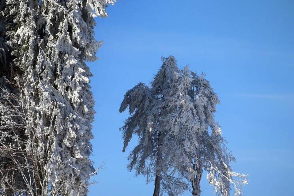 Schnee im südlichen Bayern