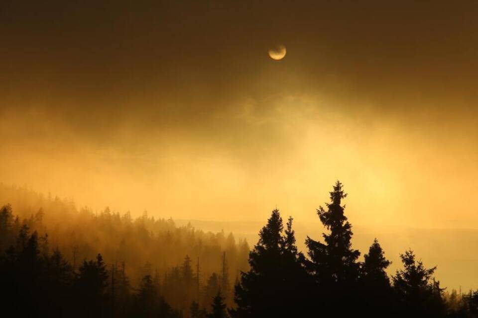 Sonnenaufgang im Harz Sonnenaufgang im Harz