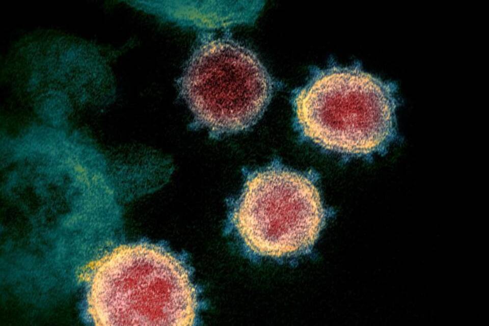 Coronavirus