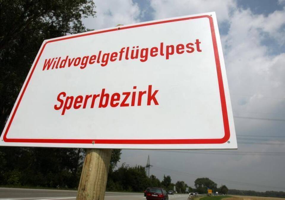 Geflügelpest Geflügelpest