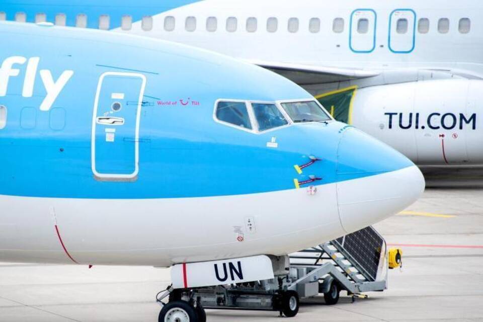 Tui Tui