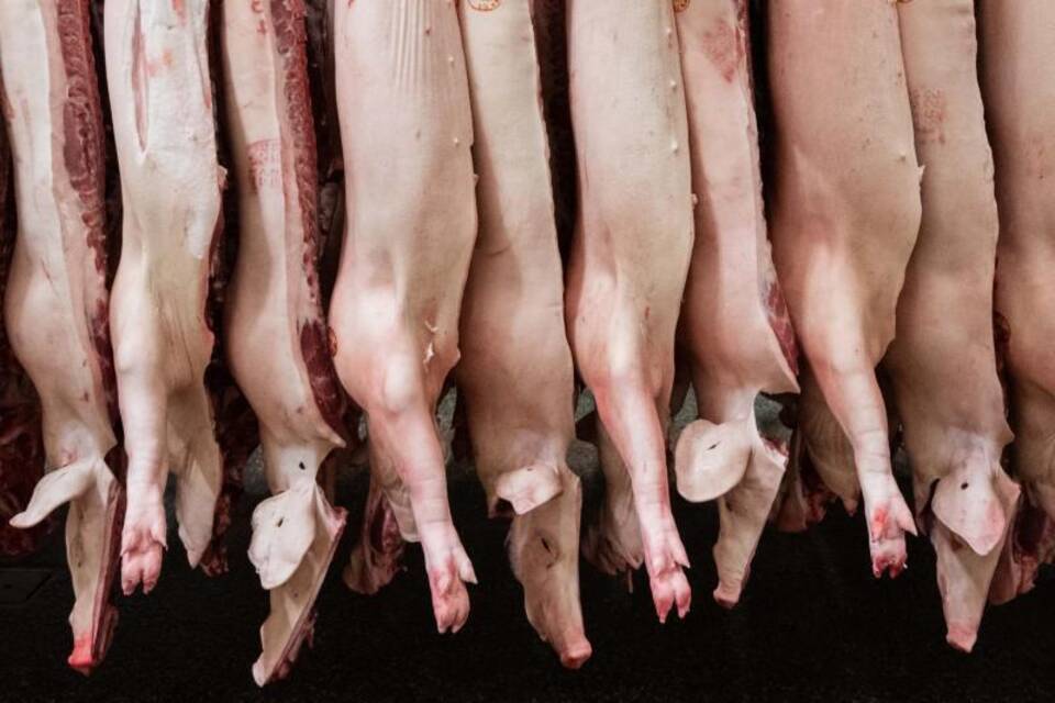 Schweinehälften im Schlachthof