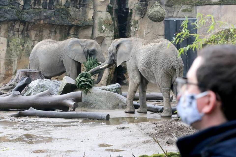 Zoos verlieren Millionen Zoos verlieren Millionen