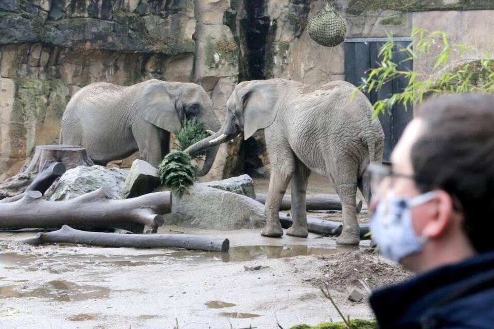 Zoos verlieren Millionen