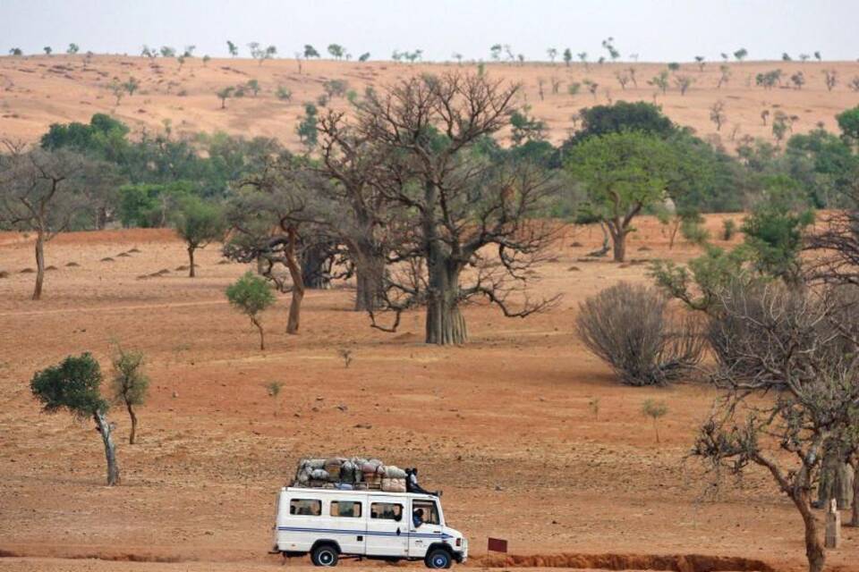 Bäume in Mali Bäume in Mali