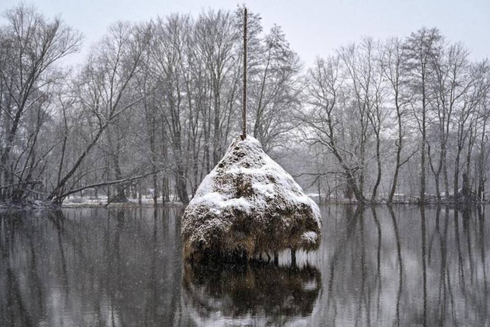 Spreewald