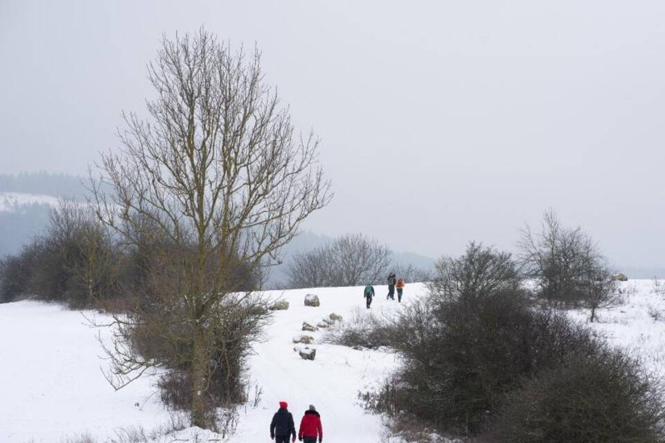 Spaziergang im Schnee