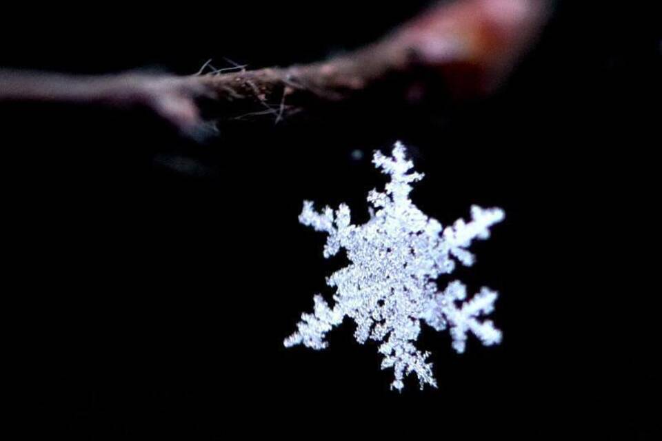 Schneekristall Schneekristall