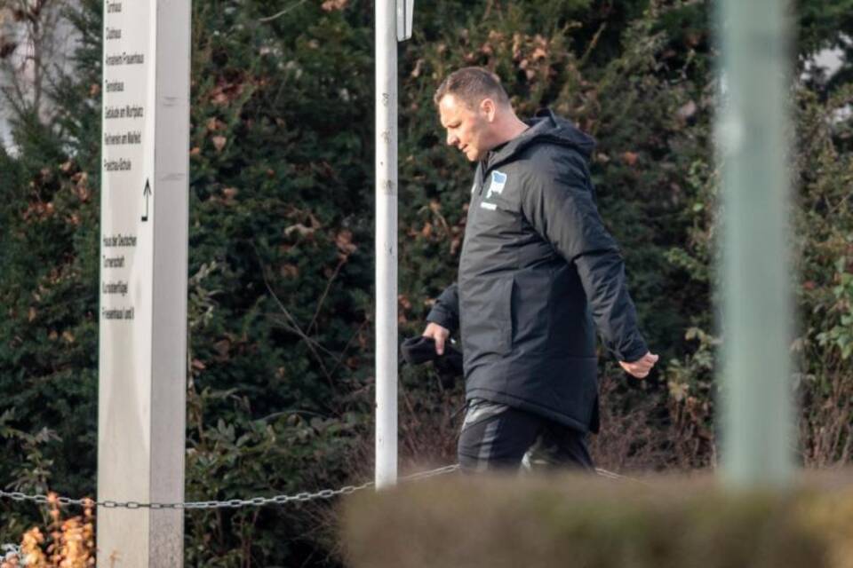 Pal Dardai Pal Dardai