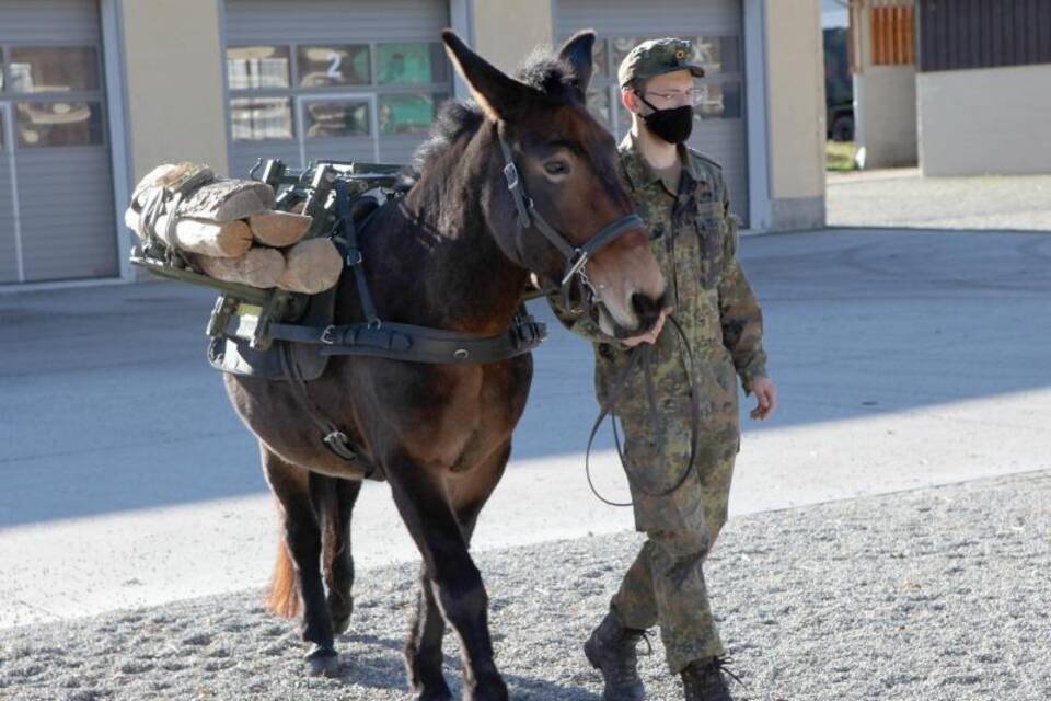 Bundeswehr-Tiere