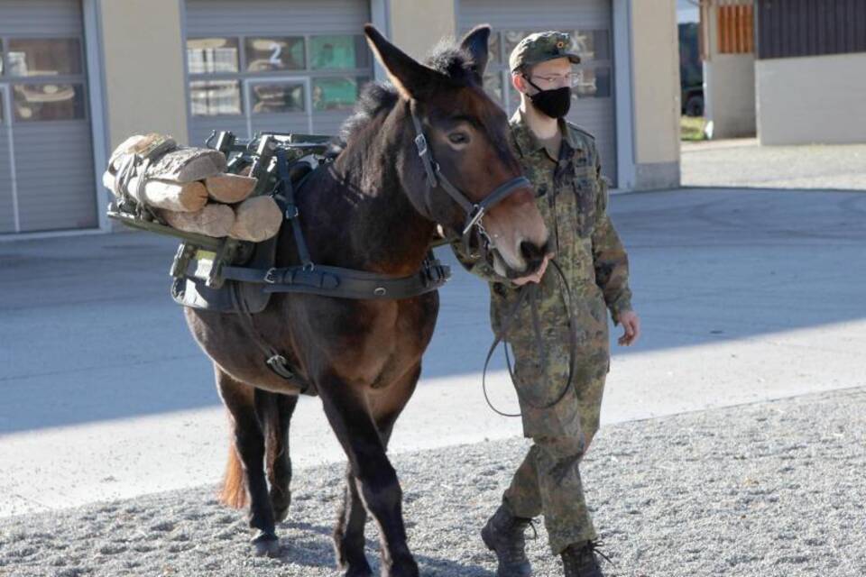 Bundeswehr-Tiere Bundeswehr-Tiere