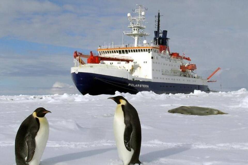 Polarstern Polarstern