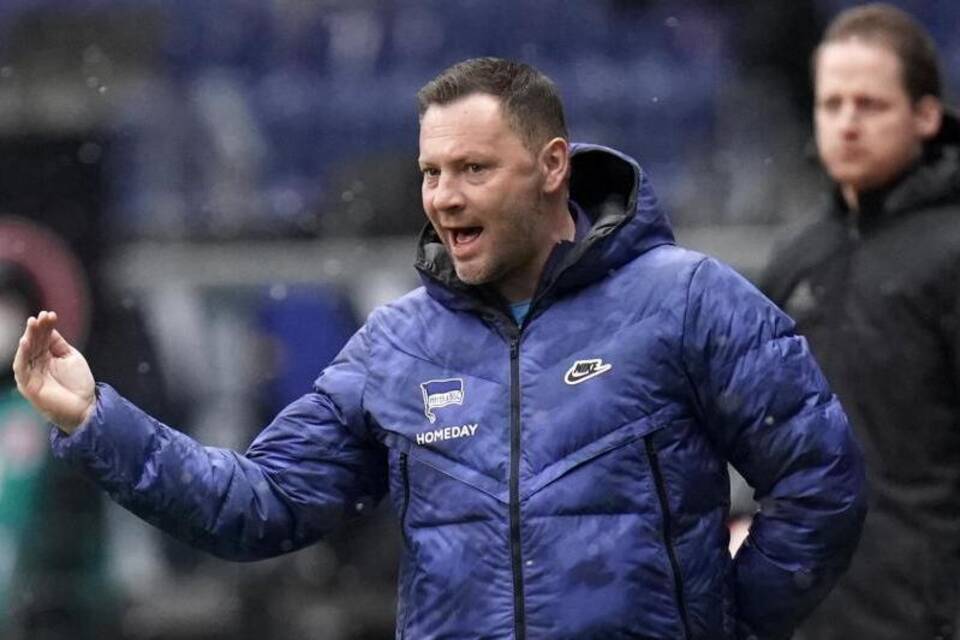 Pal Dardai Pal Dardai