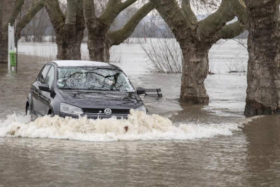 Hochwasser am Rhein