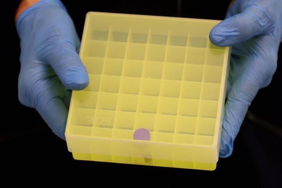 Coronavirus Coronavirus