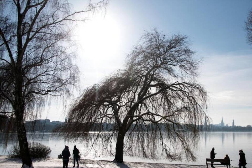 Winter in Hamburg