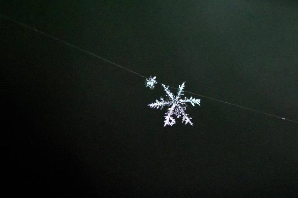 Schneekristall Schneekristall