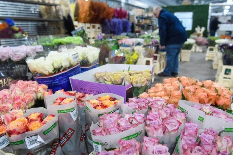 Blumenhandel Blumenhandel