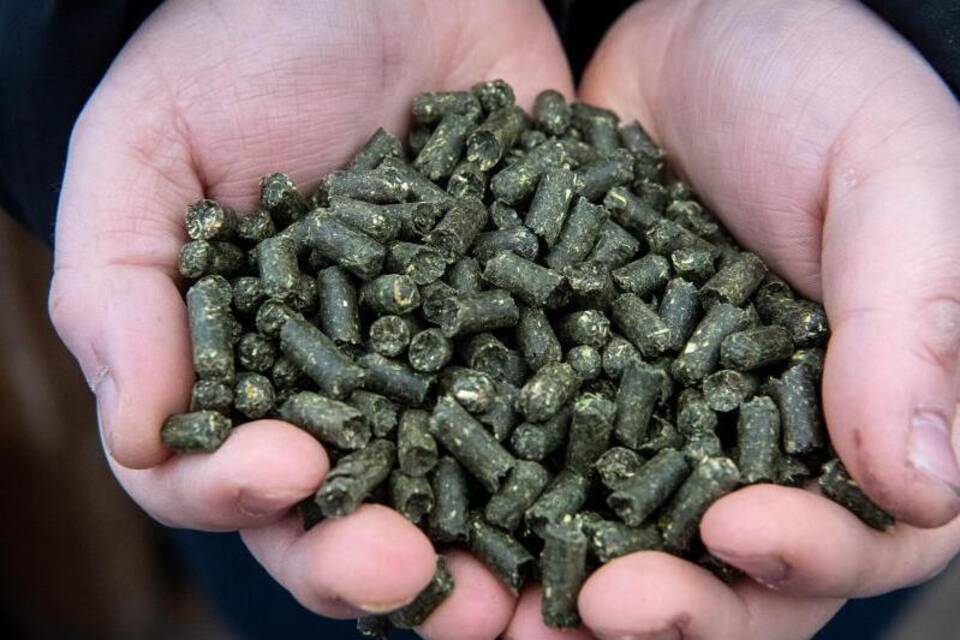 Tang-Pellets Tang-Pellets