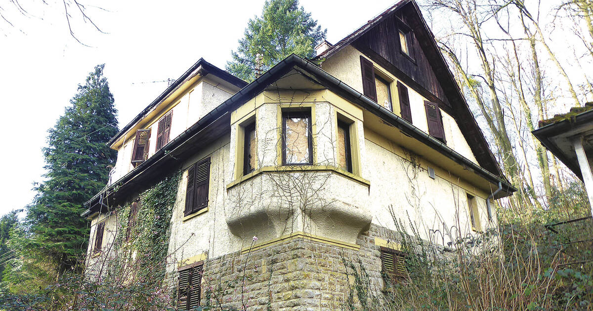 Huren aus Waibstadt