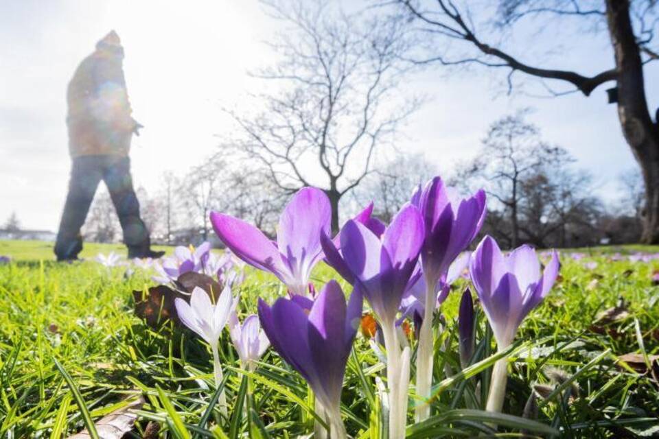 Frühling in Niedersachsen