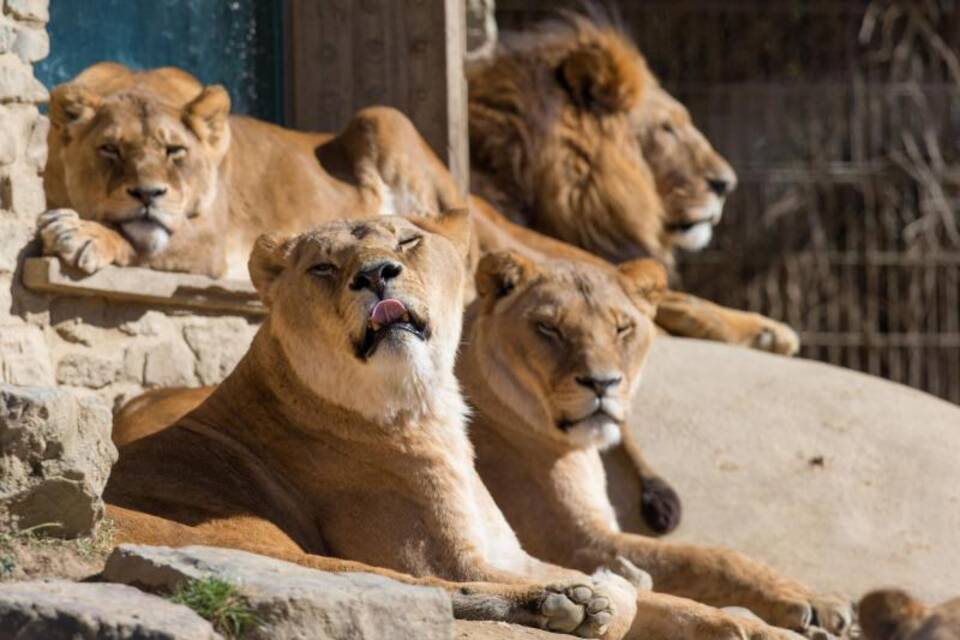 Zoo Osnabrück Zoo Osnabrück