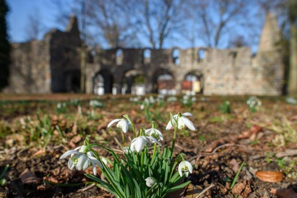 Frühlingserwachen im Jerichower Land