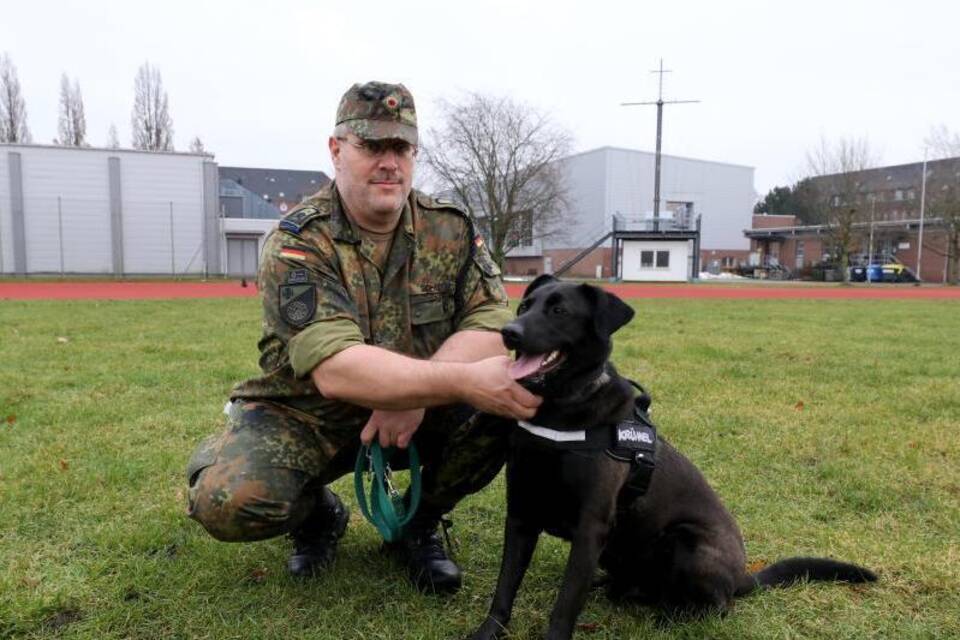 Therapiehunde helfen traumatisierten Soldaten