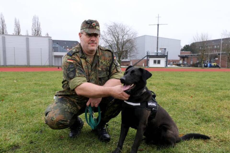 Therapiehunde helfen traumatisierten Soldaten Therapiehunde helfen traumatisierten Soldaten