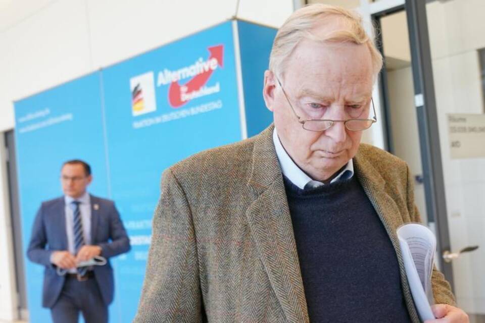 Gauland und Chrupalla