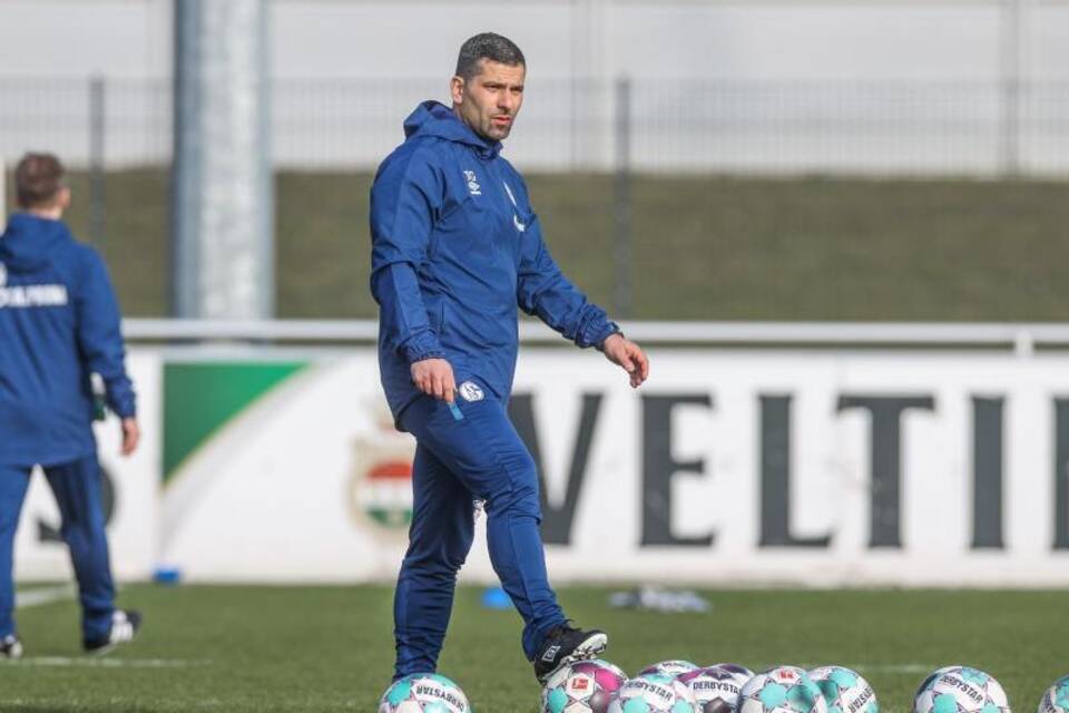 Schalke-Trainer Schalke-Trainer