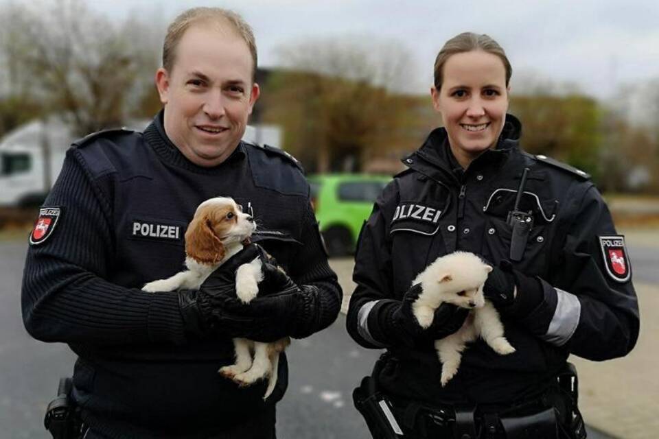 Hundewelpen gerettet Hundewelpen gerettet