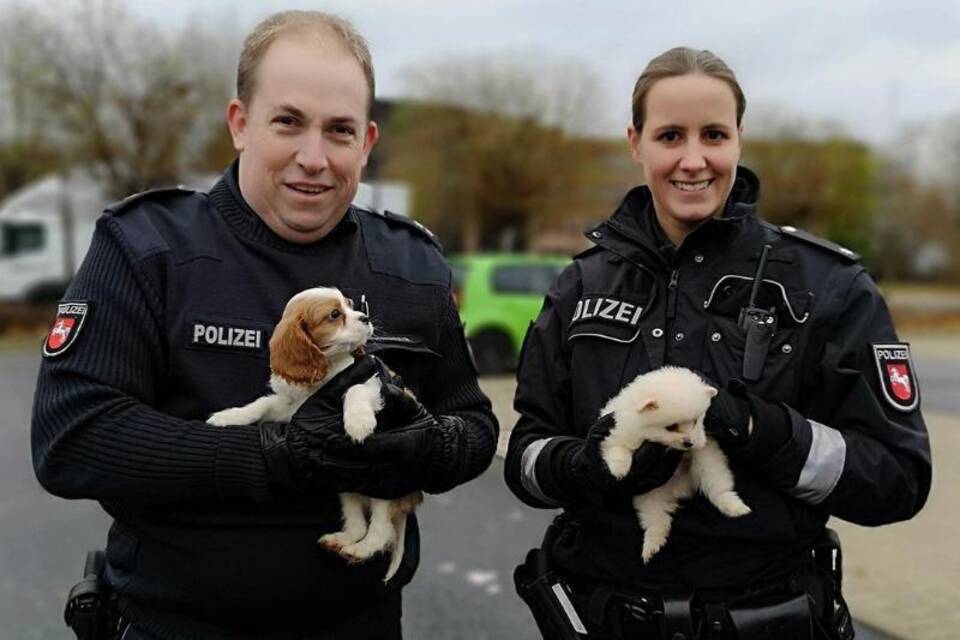 Hundewelpen gerettet