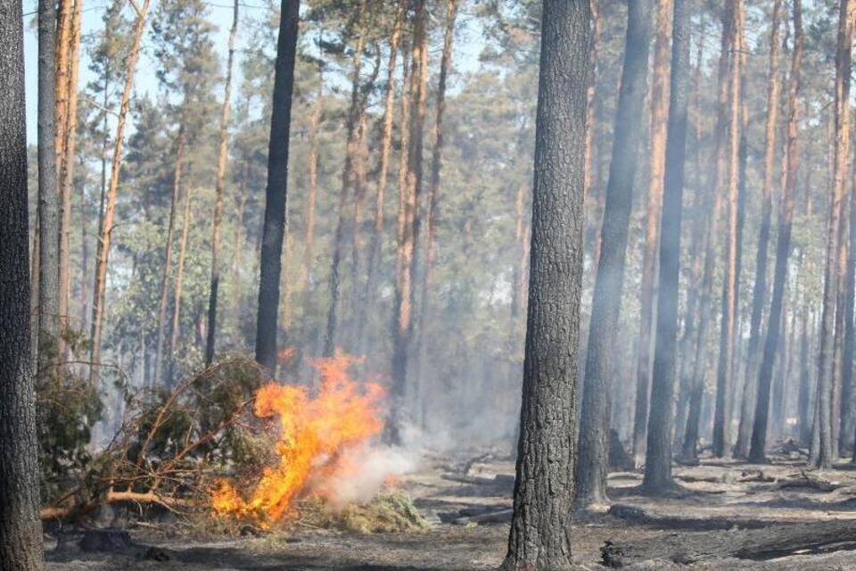 Waldbrand