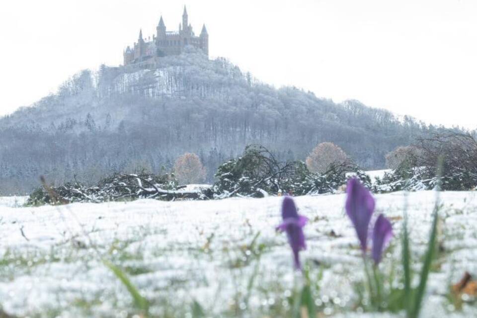 Schnee Schnee