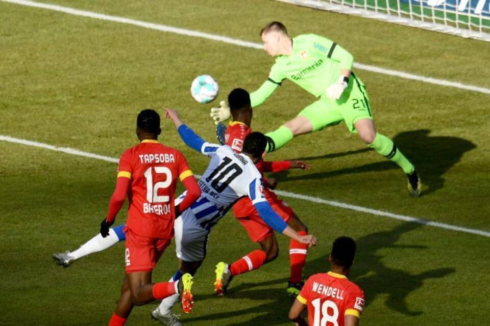 Hertha BSC - Bayer Leverkusen Hertha BSC - Bayer Leverkusen