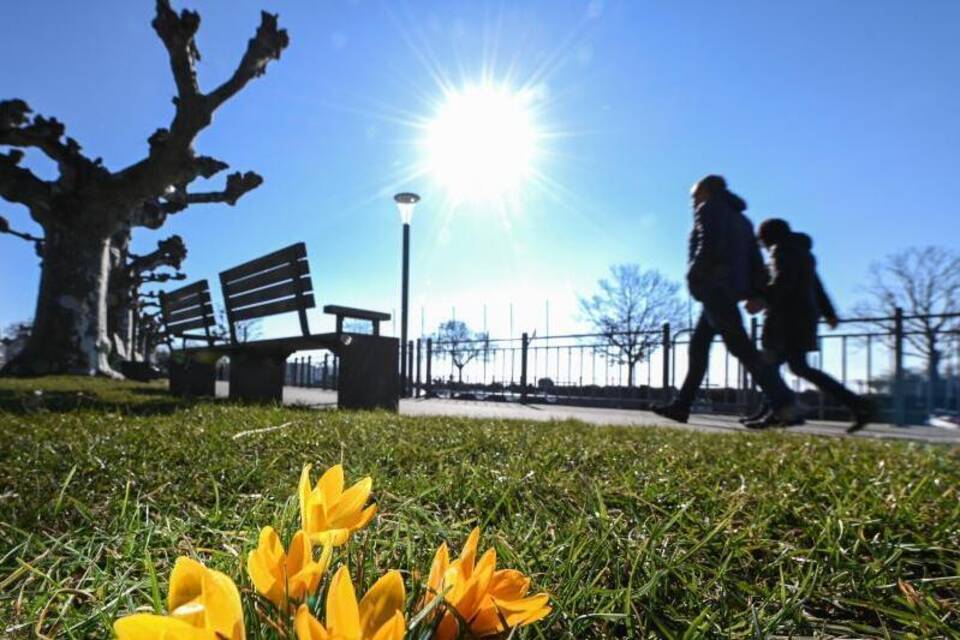 Frühling Frühling