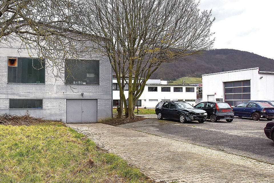 GärtnerAreal Schriesheim Anwohner widersprechen Höfer RheinNeckar
