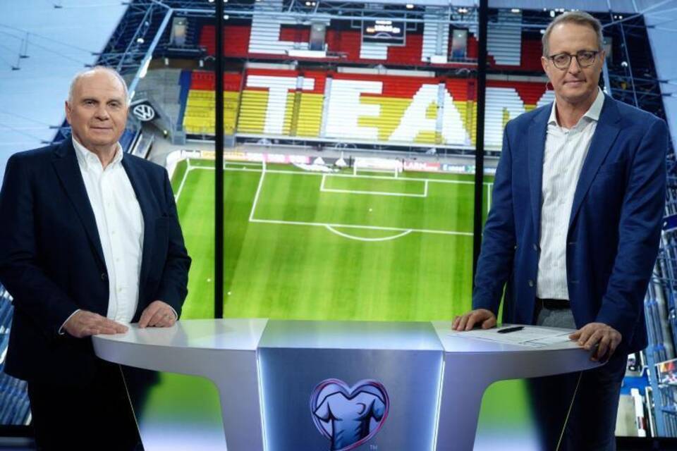 Fußball-Experte Fußball-Experte