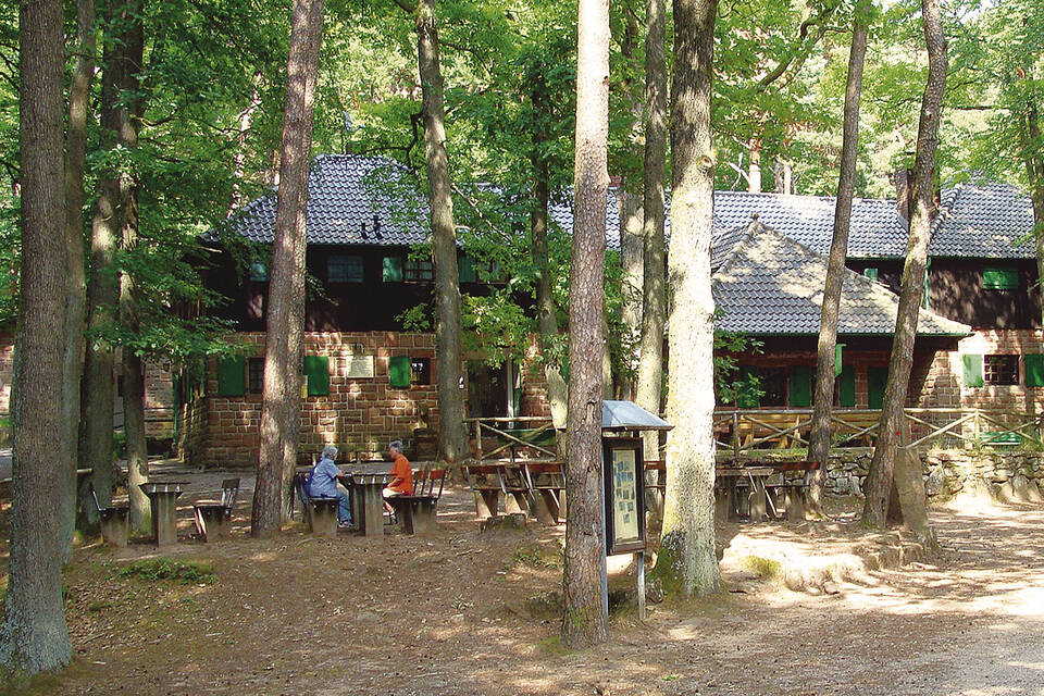 Ausflugstipps: Diese fünf Hütten im Pfälzer Wald bieten Speisen &amp;quot;to go ...