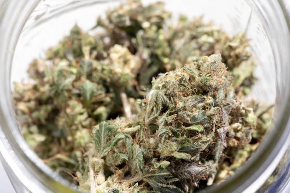 Streit um Cannabis-Legalisierung in New York Streit um Cannabis-Legalisierung in New York