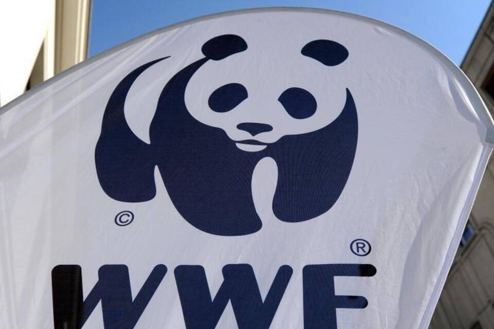 WWF