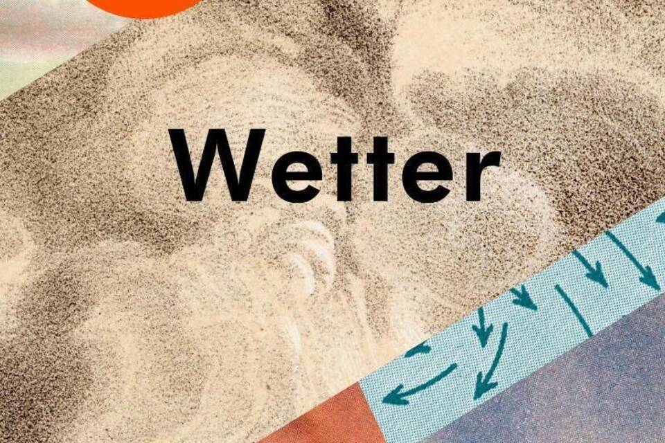 Jenny Offill: «Wetter»