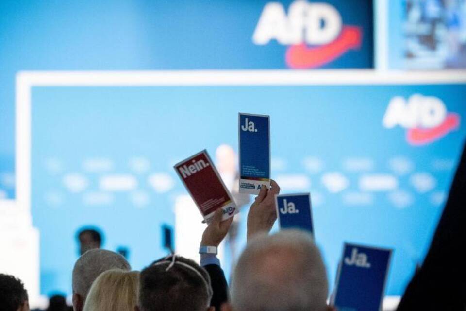 AfD-Bundesparteitag AfD-Bundesparteitag