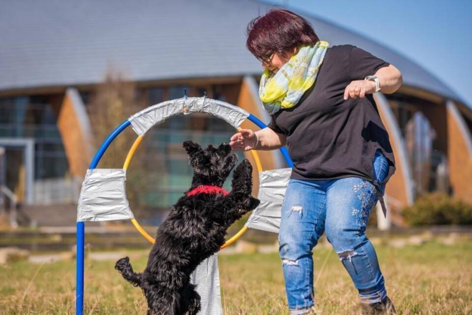 Weltrekord im «Reifensprung» für Hunde
