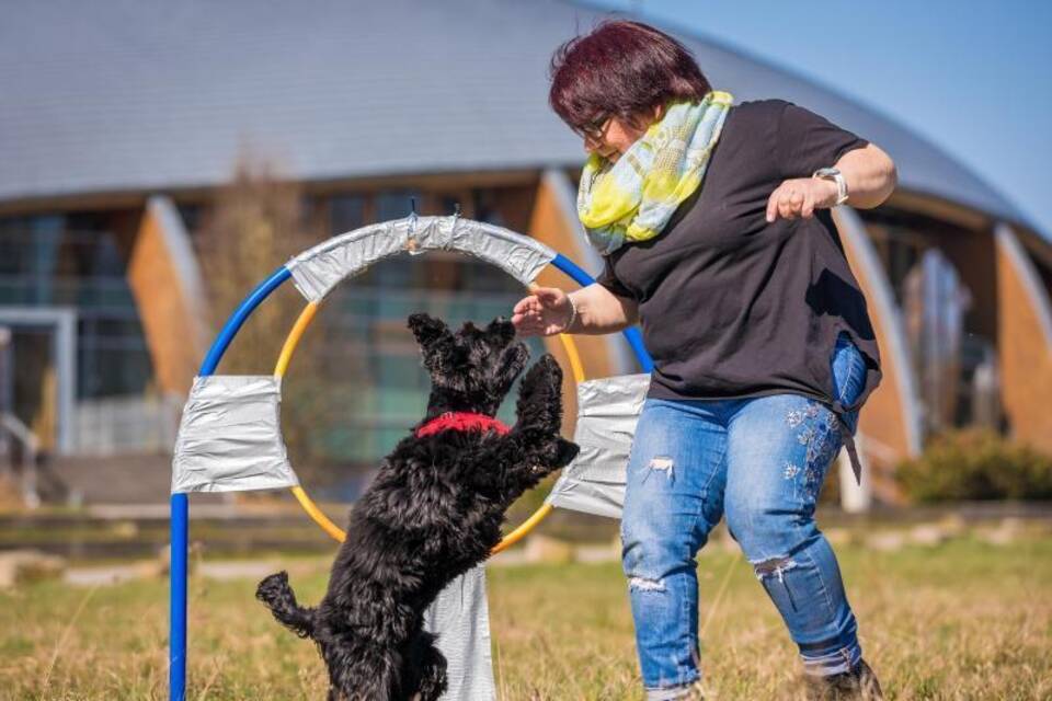 Weltrekord im «Reifensprung» für Hunde Weltrekord im «Reifensprung» für Hunde
