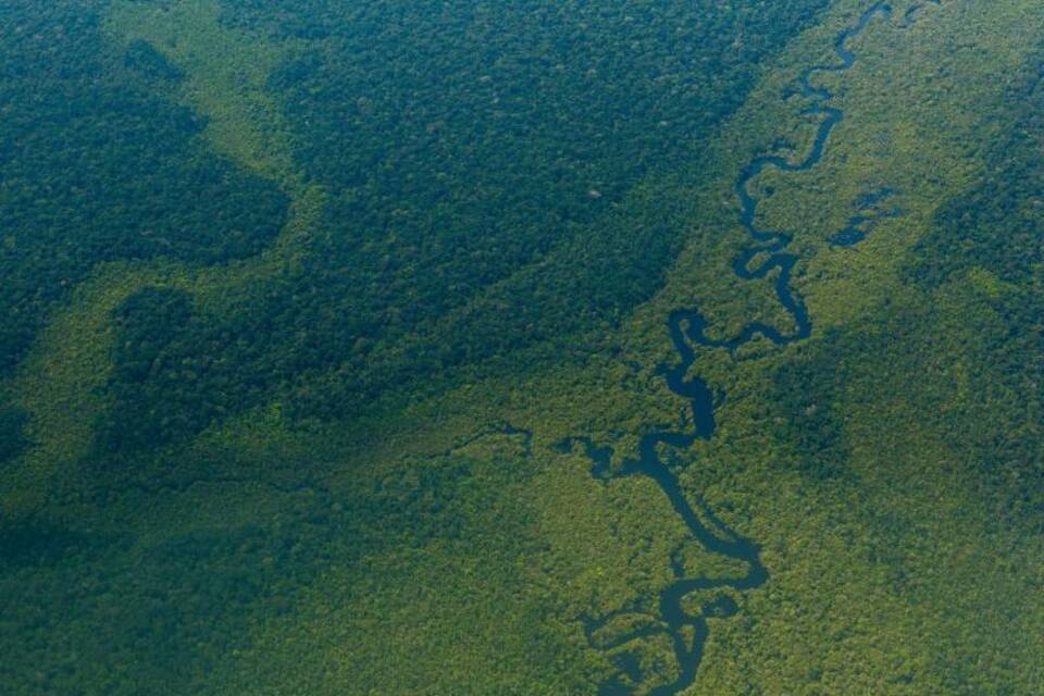 Amazonas Amazonas