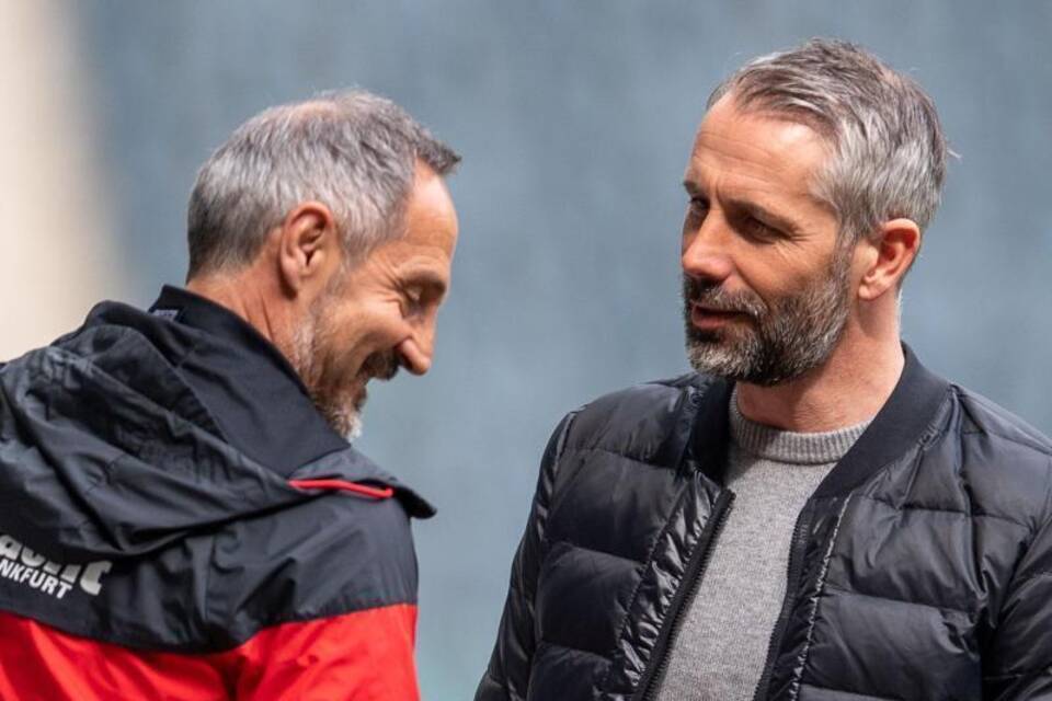 Toptrainer Toptrainer