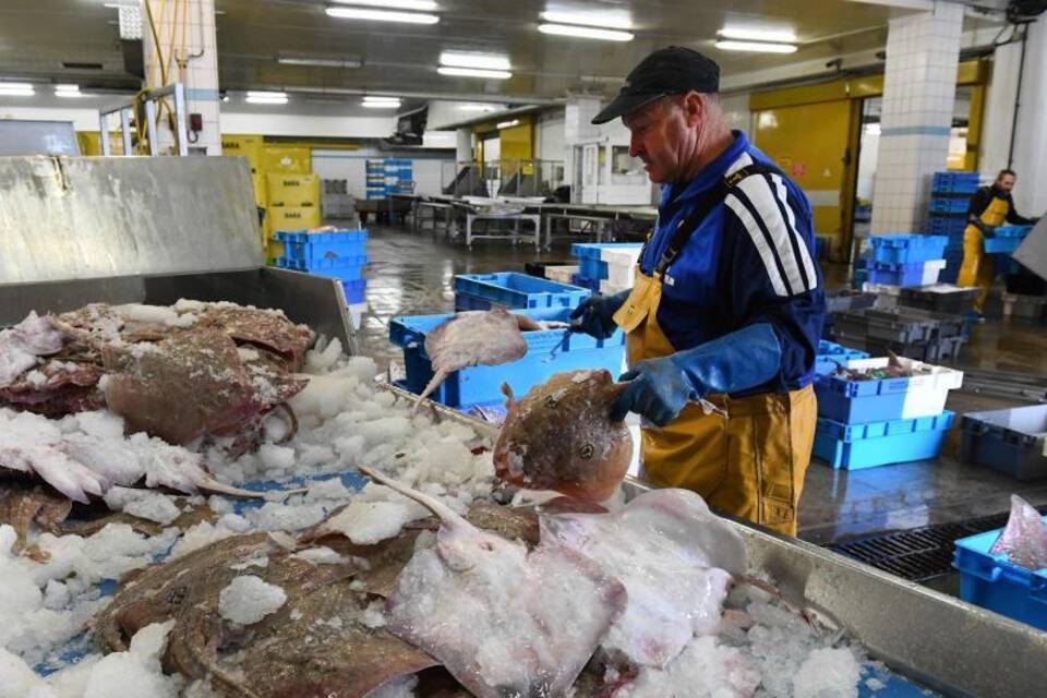 Fischerei Fischerei