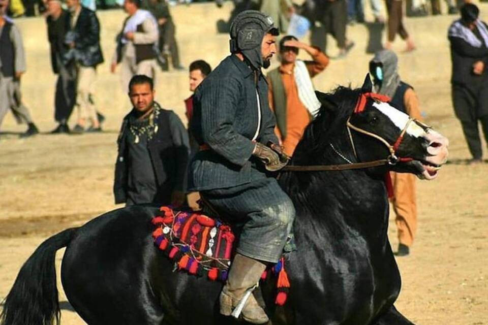 Berühmtes Buskaschi-Pferd in Afghanistan vergiftet Berühmtes Buskaschi-Pferd in Afghanistan vergiftet